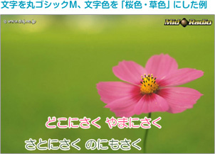 文字を丸ゴシックM、文字色を「桜色・草色」にした例